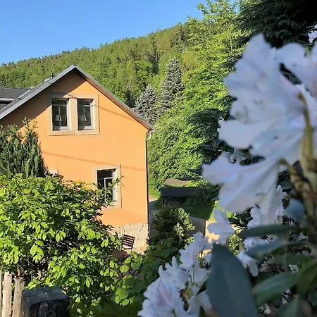 Ferienwohnung Fuchsbau Königstein Exterior foto