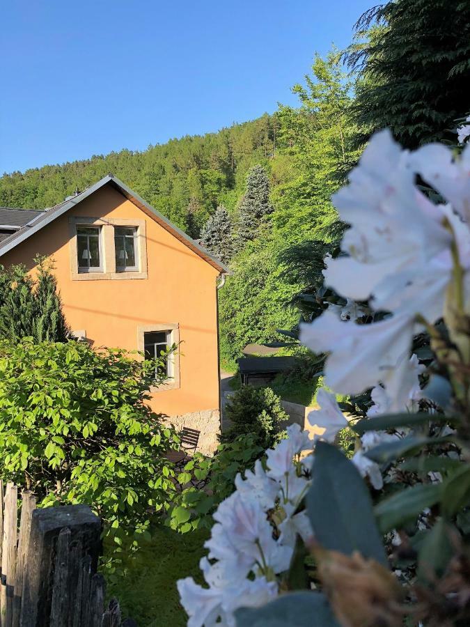 Fuchsbau Apartment Königstein
